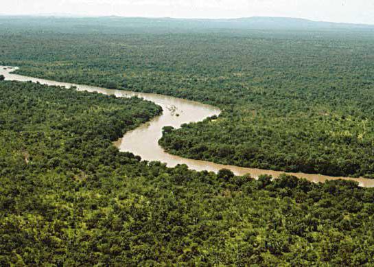 Řeka Gambie