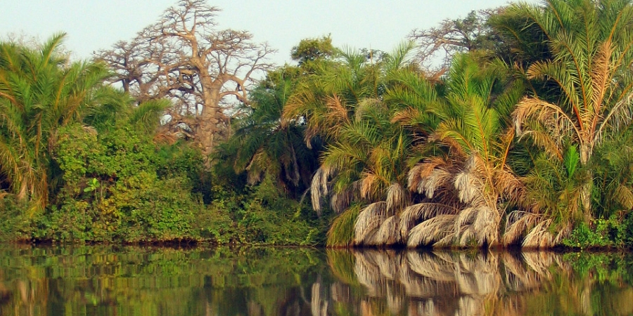 Снимка на река Гамбия