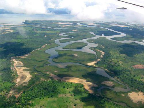 gdzie jest rzeka Gambia
