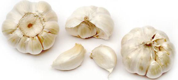 varietà di aglio