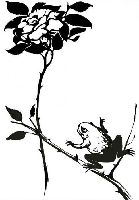 l'idea principale del racconto del rospo e della rosa