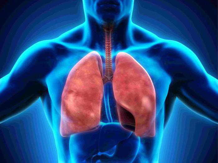 Обмен на газ в тъканите и белите дробове