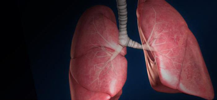 Funkcja płuca
