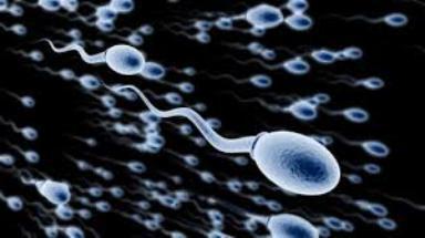 spermogram hemotest pregledi