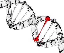 genske i kromosomske bolesti