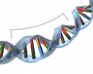 mechanizmy choroby genowej