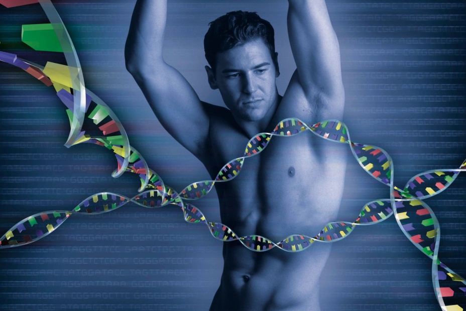Geny są ważne dla identyfikacji płci.