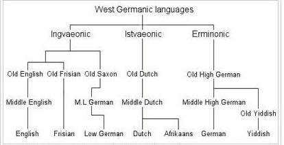 Německá jazyková skupina