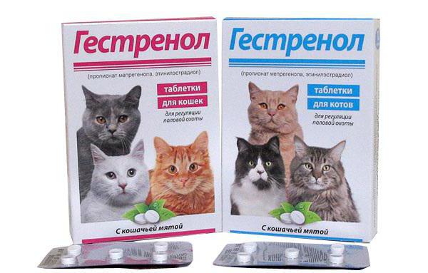 Gestrenol kapky pro kočky instrukce k použití