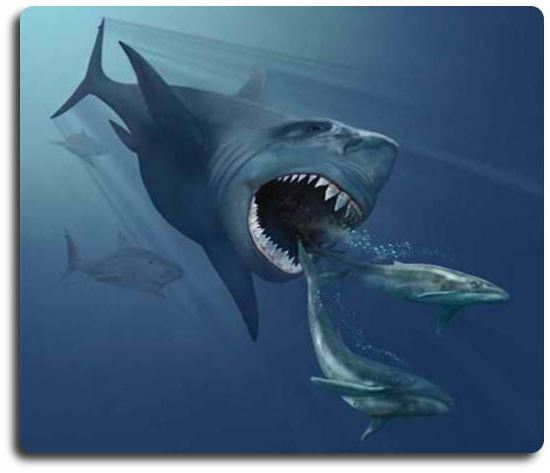 drevni megalodon morskih pasa