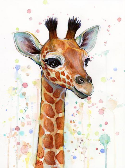 podrobná analýza básně žirafa gumilyov