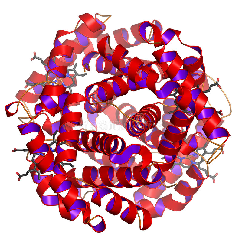 Структура протеина
