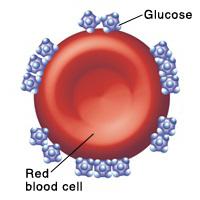 glykované hemoglobinové analýzy