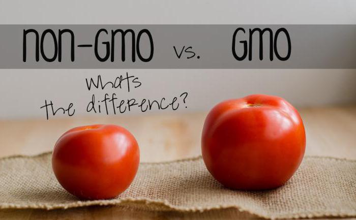 cosa contiene gli alimenti OGM