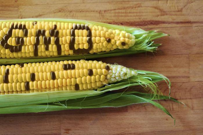applicazione di pro e contro OGM