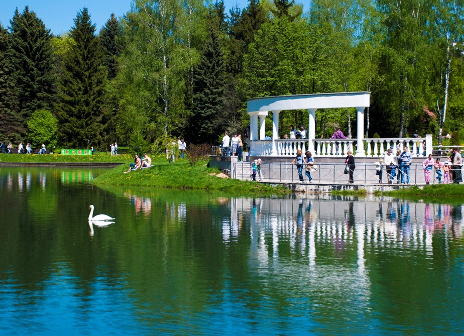 Botanični vrt rastline Minsk