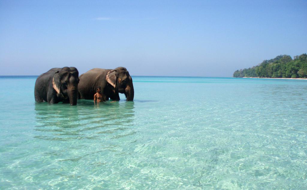 Sloni pro koupání v Adamanově moři