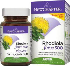 lecznicze właściwości rhodiola rosea