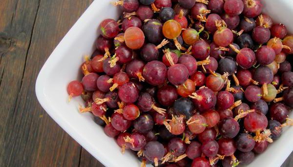 калорична цариградско грозде 100 грама