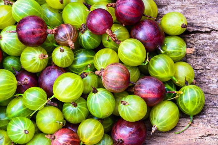 калорична диета от цариградско грозде