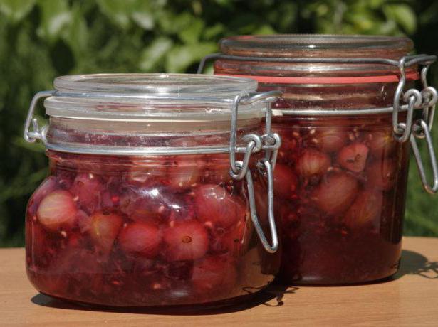 gooseberry odrůda Krasnoslavyansky recenze