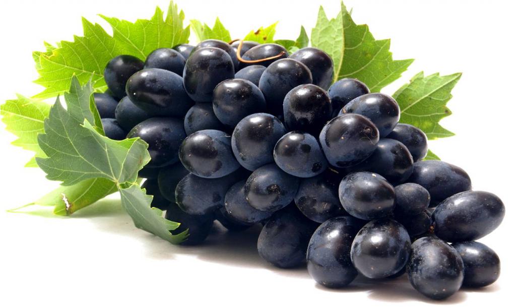 Grape Codreanca: opis odmiany