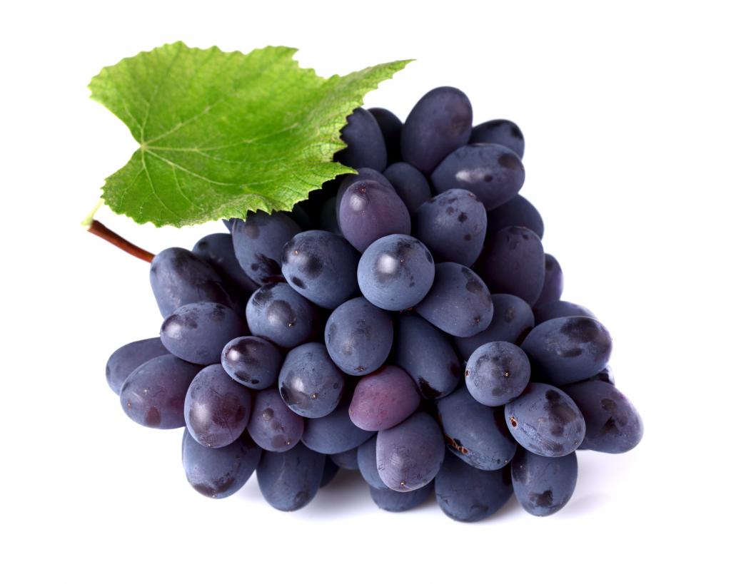 Grape Codreanca: charakteristický