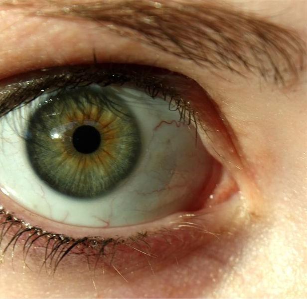 significato di occhi verdi