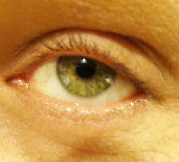 caratteristica occhi verdi