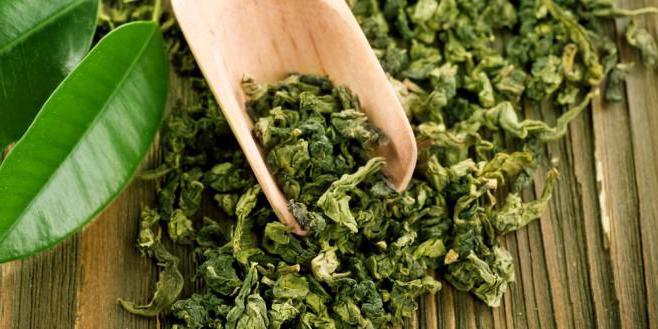 čaj zelena slim hujšanje pregledi prehrana