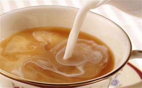 Giorno di digiuno sul tè verde con latte