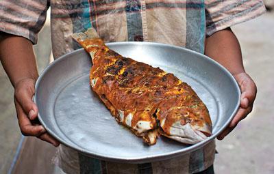 Kako kuhati ribe na žaru