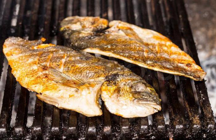 przepisy na grillowane ryby