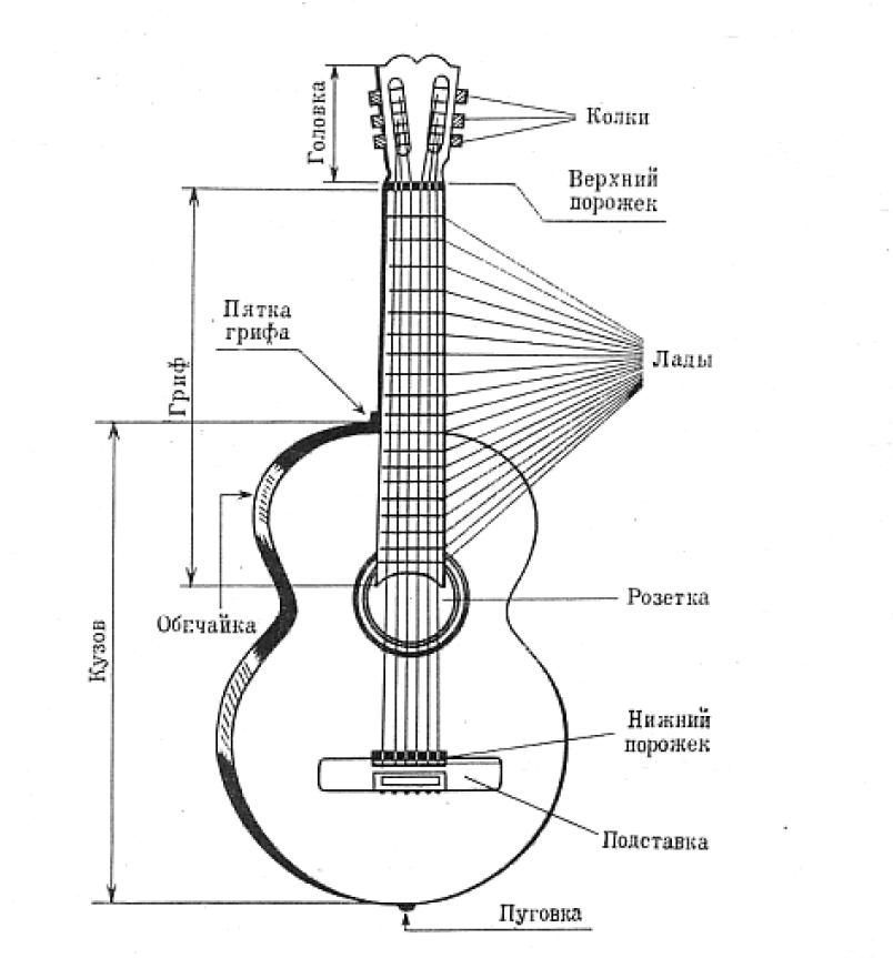 Struktura gitary