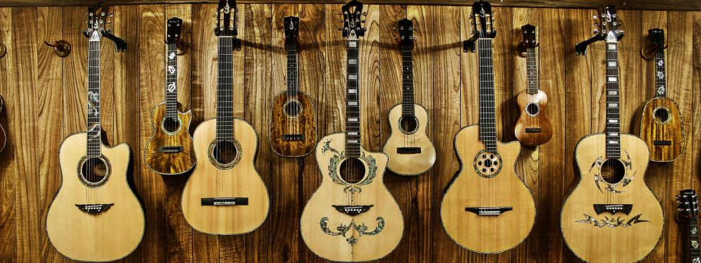Zbirka gitare