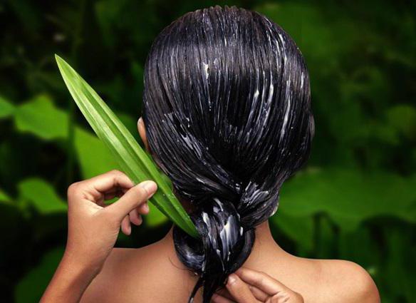 vlasové masky s aloe proti vypadávání vlasů