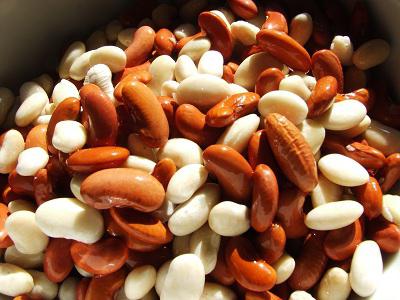 výhody a poškození fazole