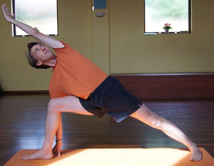 Hatha yoga za početnike kod kuće: vježbe