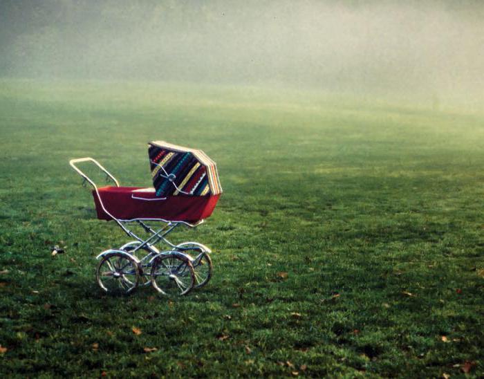 baby carriage dream kniha