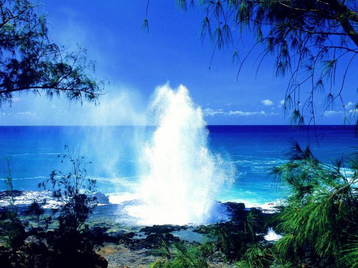 havajski otoci cijene izleta