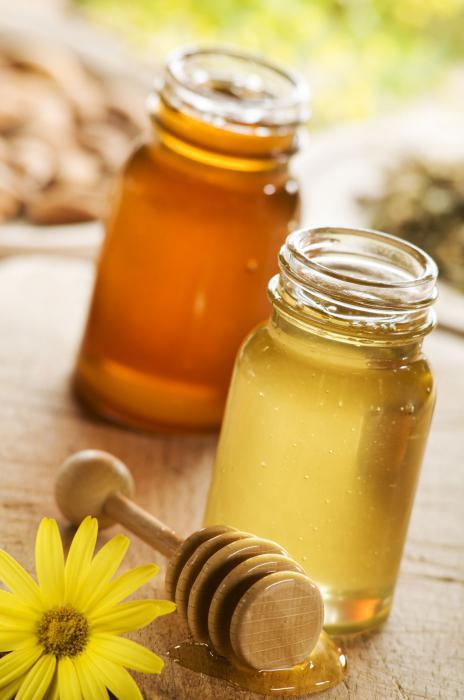 zázvorový medový citronový recept na posuzování imunity