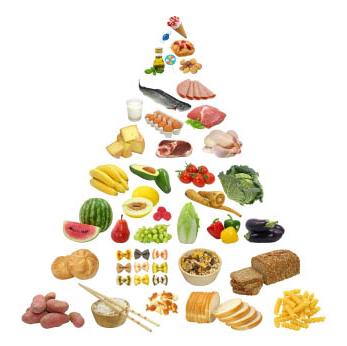 Pokarmy zawierające białko: lista