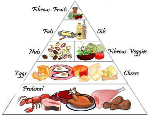 lista pokarmów białkowych