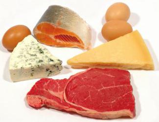 протеинска храна је која храна?