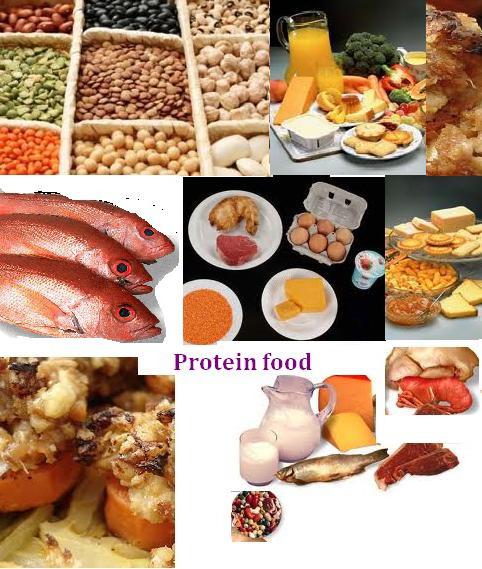 żywności białkowej na liście odchudzania