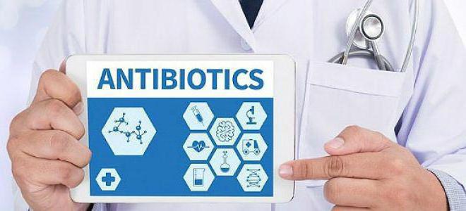 antibiotiki za zastrupitev s hrano
