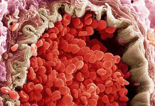 stopa hemoglobina u muškaraca