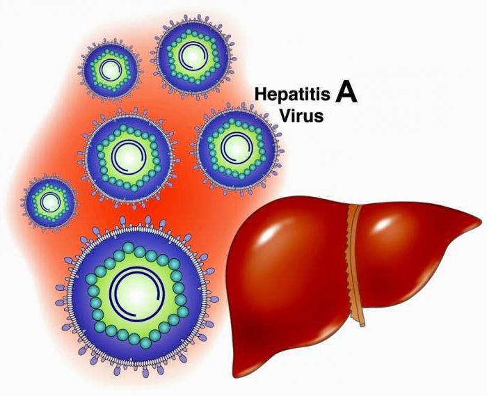 хепатитис инфекција