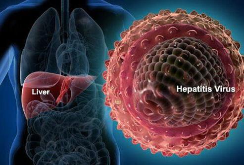 se prenosi putem hepatitisa b