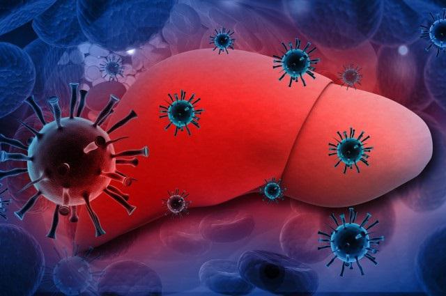 typy hepatitidy prevence léčby infekčních cest